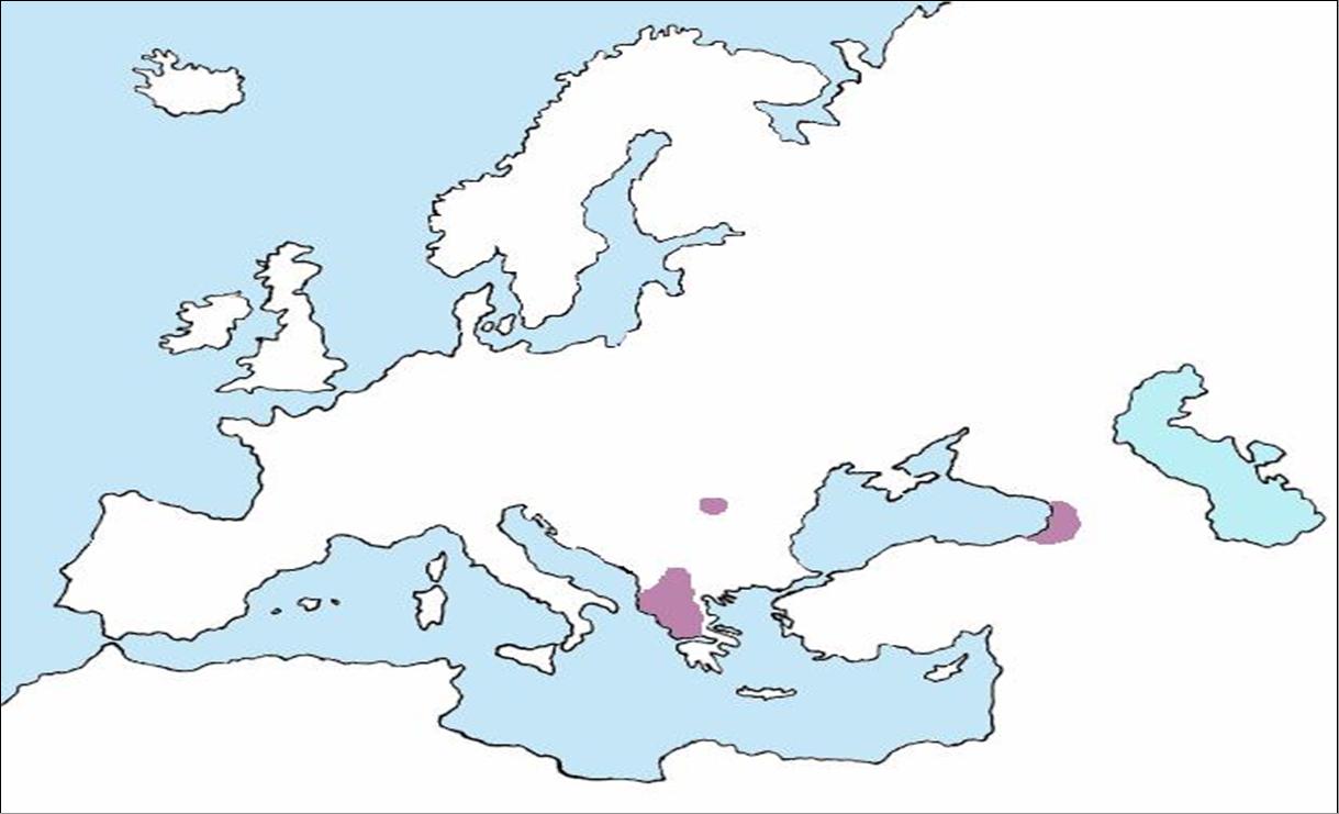 Areale Ippocastano (Aesculus hippocastanum)